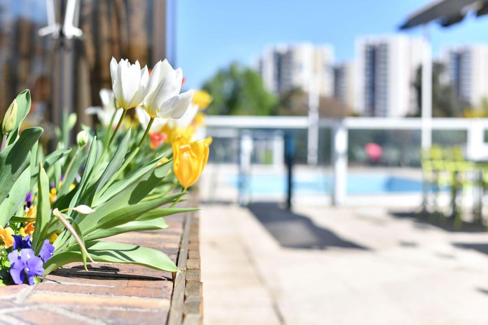 Novotel Paris Creteil Le Lac Εξωτερικό φωτογραφία